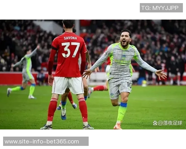 谢尔基本赛季出战17场贡献11球成为今夏英超新援进球参与王