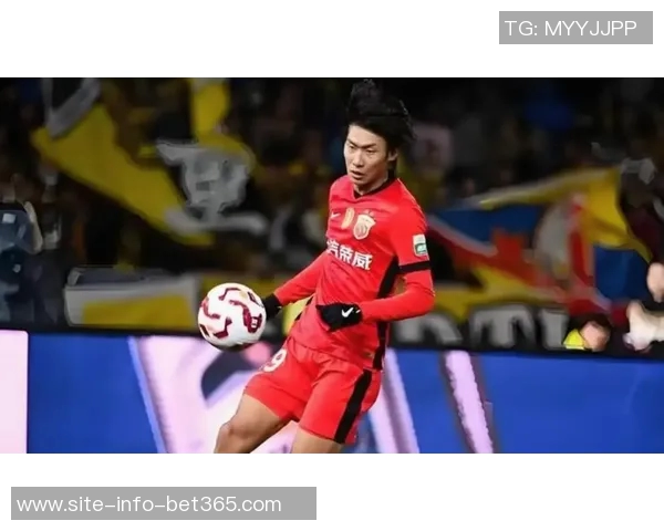 上海海港全力备战新赛季加布里埃尔回归训练场积极恢复状态