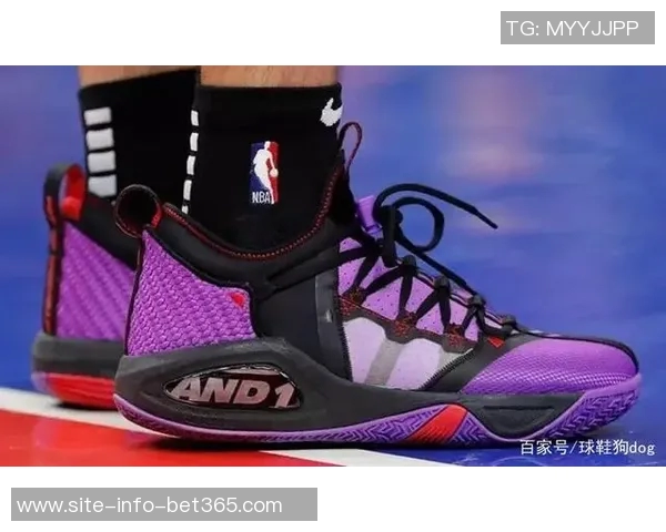 三大球鞋品牌代言人新赛季全明星入选人数预测分析